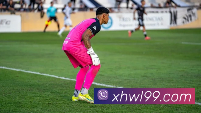 世界杯官方网络平台平台生态图